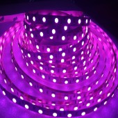 5 Meter 300 Leds 5050 Purple LED Flex Strip Light Non-Waterproof