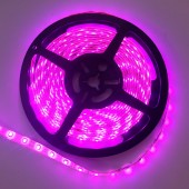 5M 3528 Pink Color LED Flexible Strip Light 12V 300 Leds Tape LIght