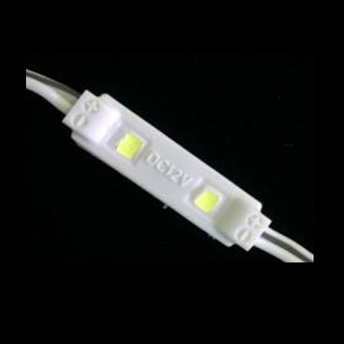 SMD 2835 12V 2LEDs Injection LED Module Waterproof LightIP65 Backlighting 20pcs